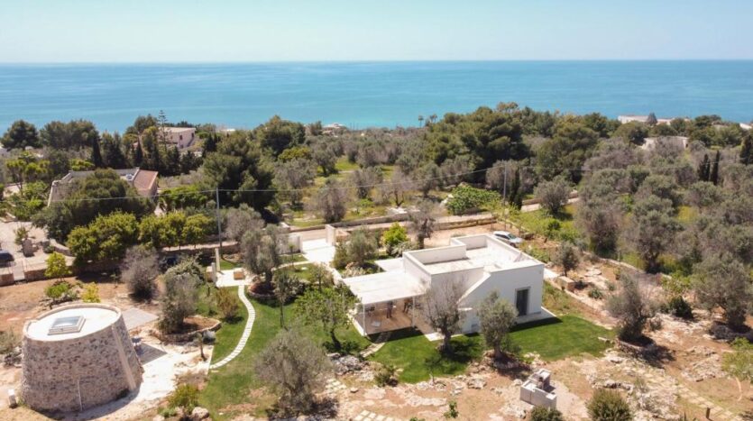 Aerial view of villa – Stunning perspective showing the villa surrounded by nature and olive groves.